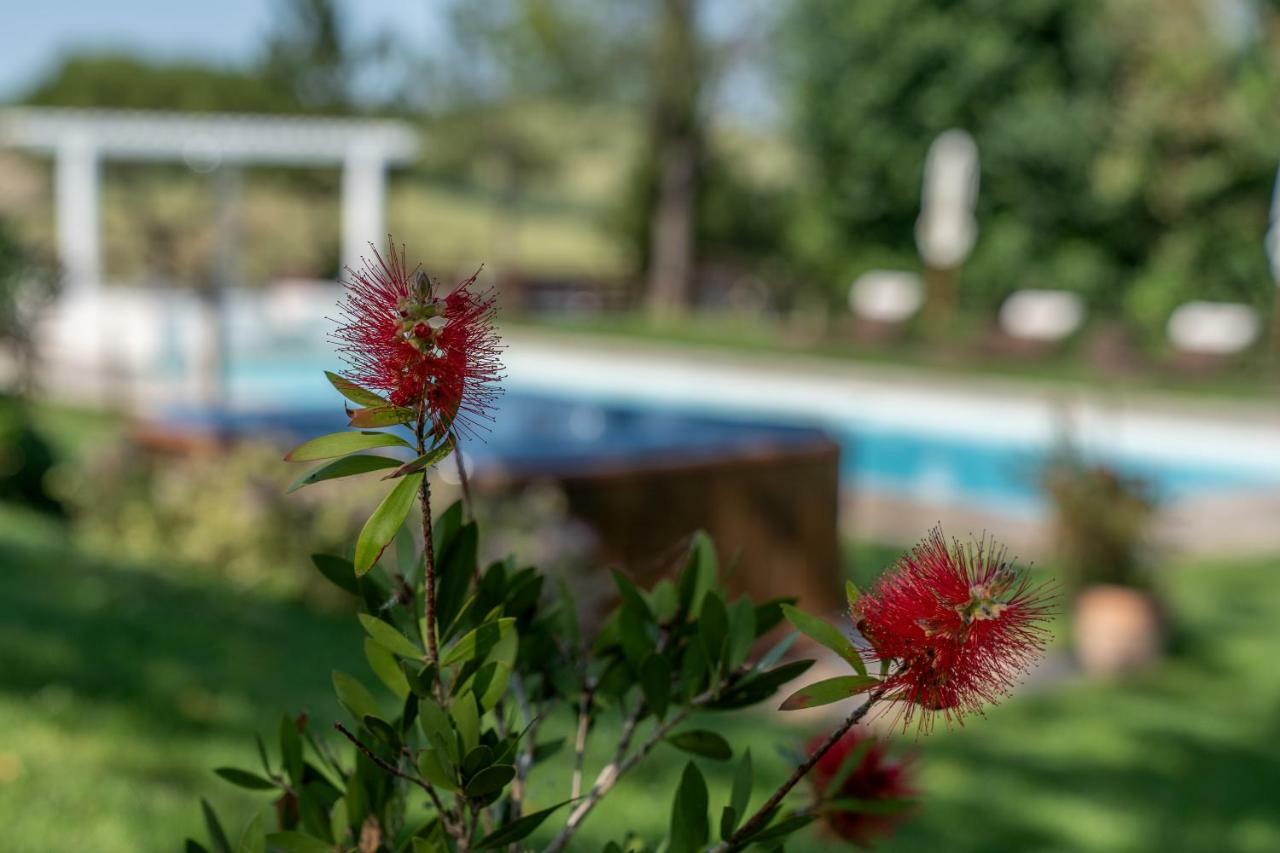 Le Maracla Country House เยซี ภายนอก รูปภาพ